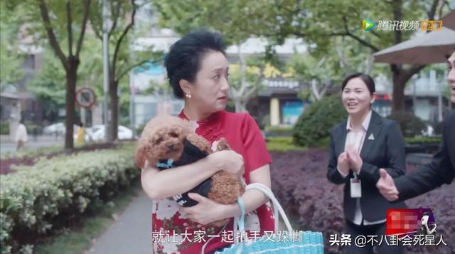 爷们儿演员表，爷们儿演员表李国月（给“恶婆婆”演得最好的10位演员排名）