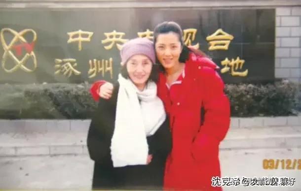 曾黎主演的电视剧，曾黎演过哪些电视剧（母亲别样的真言最感人）