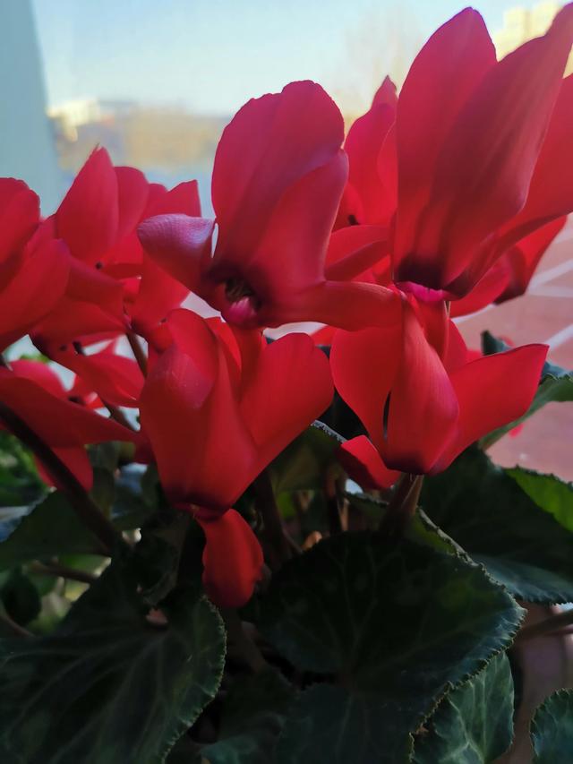 写给老公的暖心话，写给老公的晚安暖心话（既让我省心又让我暖心）