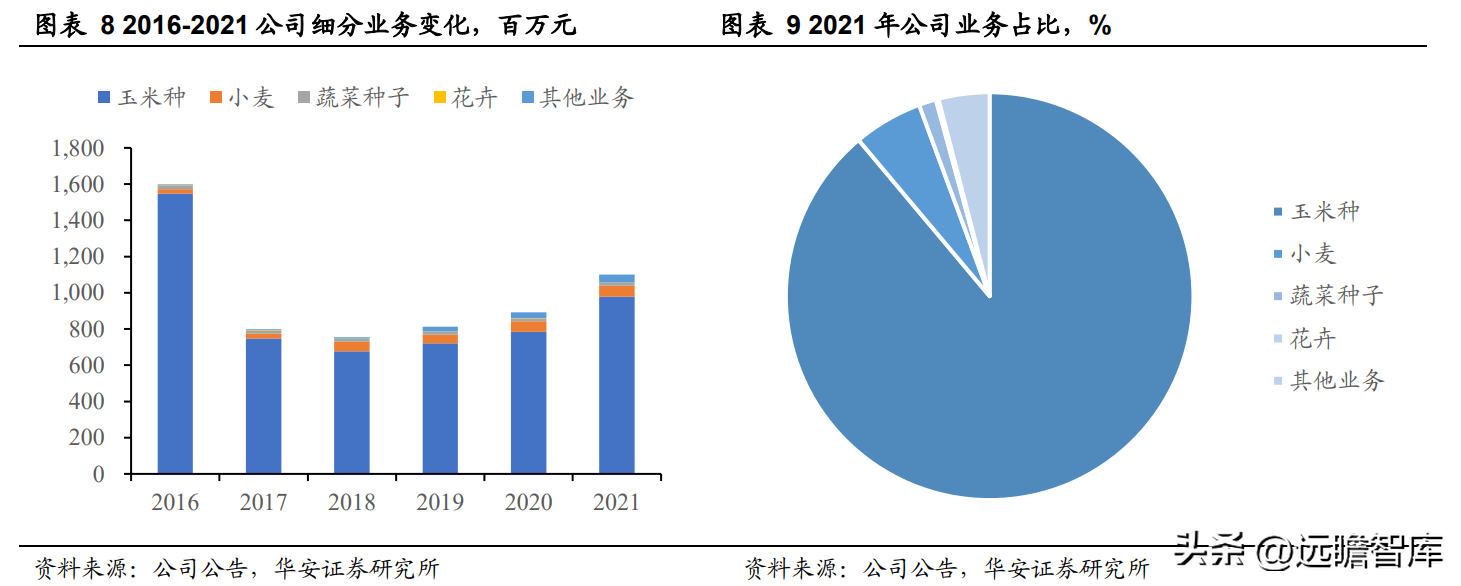 登海先锋种业（玉米种子领军企业）