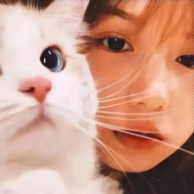 小众情侣头像微信，小众情侣头像（微信小众情侣头像）