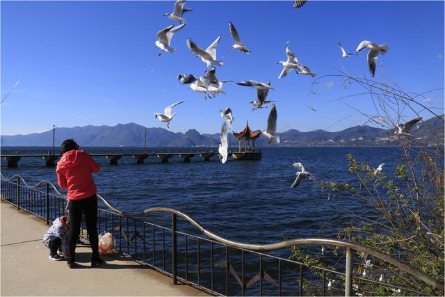 抚仙湖旅游，抚仙湖旅游攻略（胡言摄影抚仙湖16年的50幅照片）
