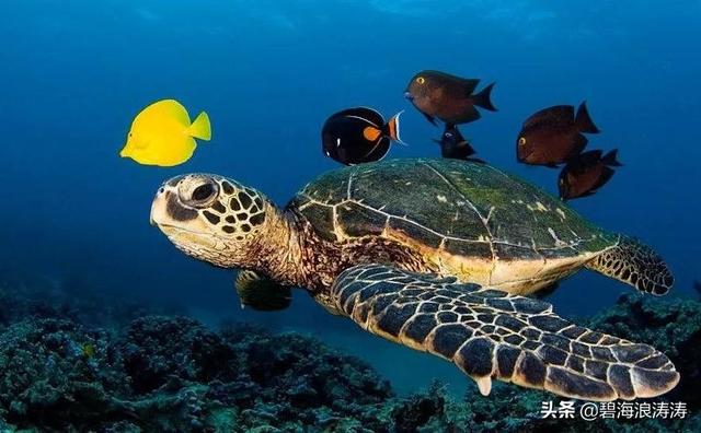 n开头的股票是什么意思，n开头的股票是什么股（50%的股民不一定都知道是啥意思）