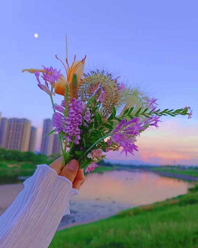 关于风的有意境的句子,关于风的优美句子(风不语自有万物知)