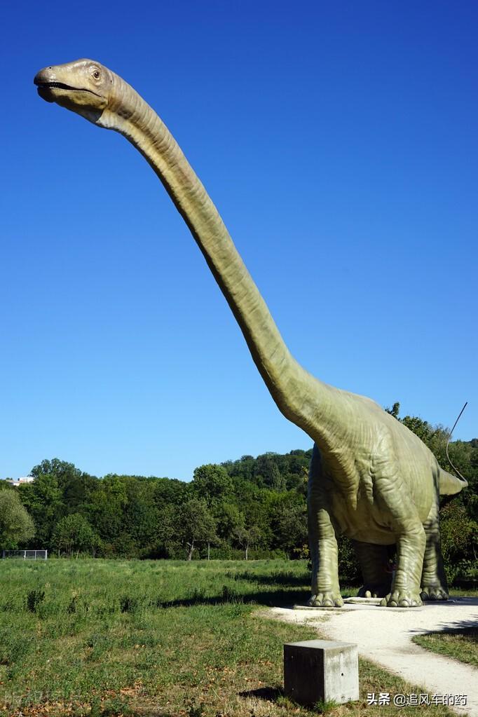 世界上最厉害的恐龙是什么恐龙，能杀死霸王龙的十种恐龙（世界五大恐龙之最）