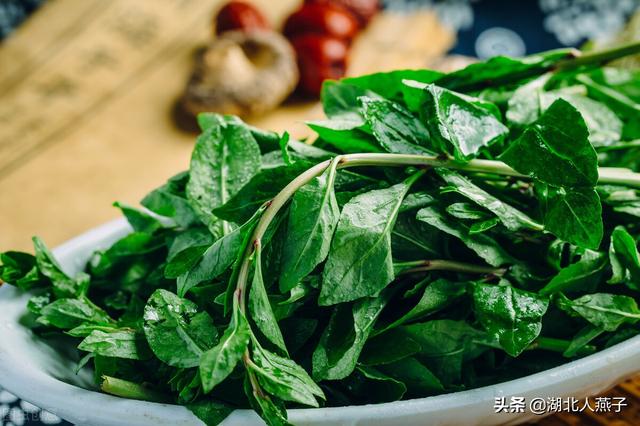 农村100种野菜图片，野菜的种类（常见的野菜图片与名字）