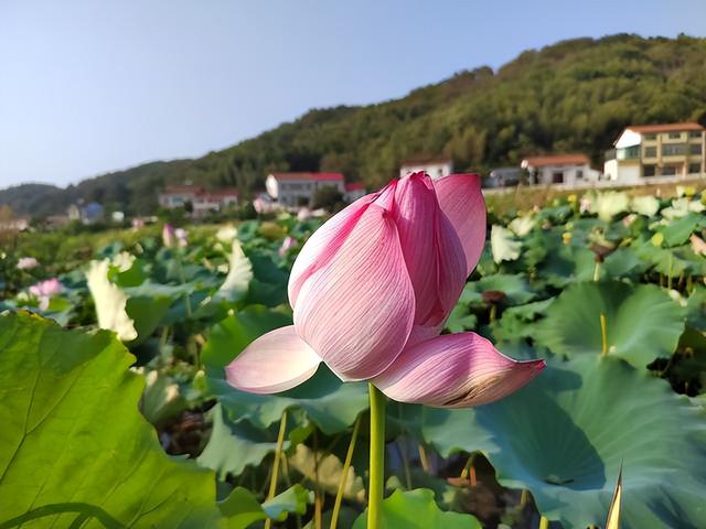 男人人品差的十大表现，人品极差的男人表现有哪些（张嘴闭嘴都是这些话）