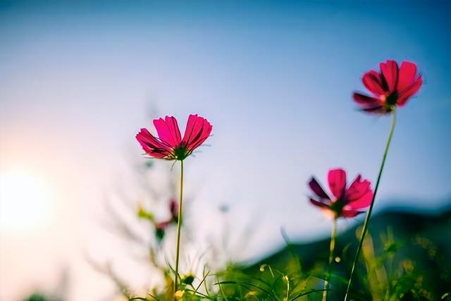 男女之间什么才叫合适，男女之间合适怎么说（看这件事就知道了）