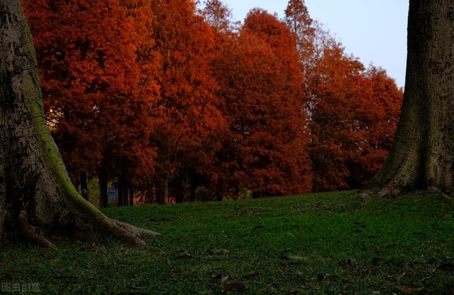 去厦门必去的几个地方，厦门必去的几个景点（这8个好玩又好拍的免费游玩圣地）