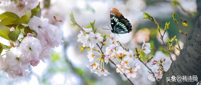 投诉快递公司打什么电话管用，物流最怕的投诉电话如何拨打（网购投诉找哪个部门）