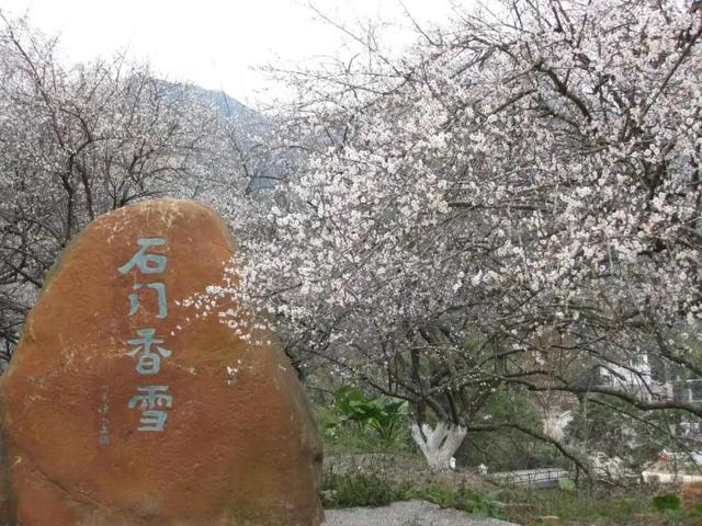 从化温泉镇哪家温泉好，从化温泉镇哪家温泉好价格（含氡温泉、特色民宿……春节相约从化温泉）