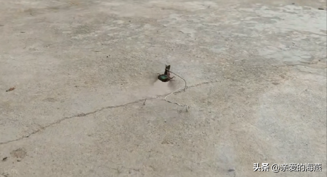 儿时的简易自制玩具，7080年代农村孩子自制49个纯天然玩具