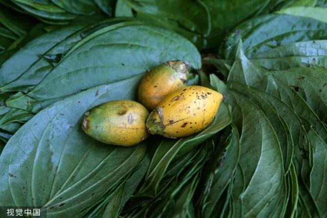 这就是灌篮第三季，这就是灌篮第三季什么时间播（一级致癌物怎样长成千亿产值网红食品）