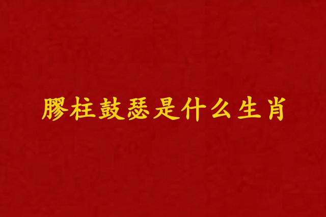 云肖是指哪几个生肖，云肖是哪几个生肖（）