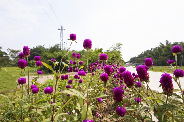 不懂爱情的语录，不懂爱情的说说,短句（写给某人：你不懂我的悲伤）