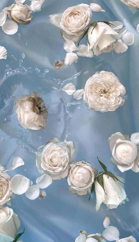 丧气女头，微信头像，丧气女头（抖音丧系女孩子适用的带字手机壁纸）