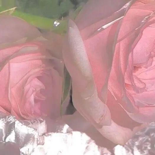 逼图，微信头像，逼图（微信头像+背景图片2022最火爆）