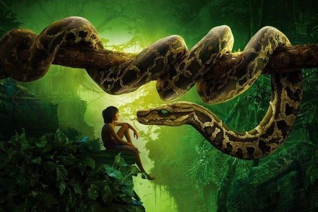 十大传说巨蛇香港演员，十大传说巨蛇香港演员表（传说炸山将巨蟒炸碎、挖掘机将其拦腰斩断）