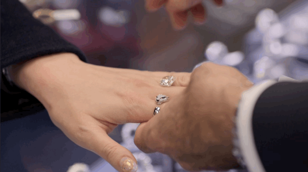 模特dj是什么意思，女性dj是什么意思啊（有钱人世界竟然由这七类人构成）