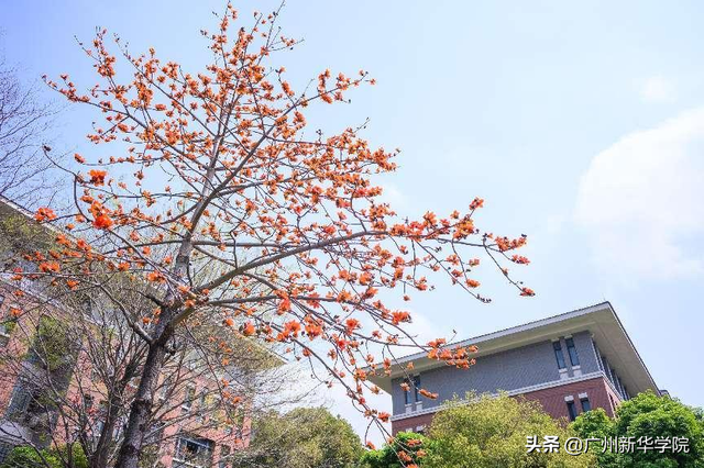 新华学院是什么学校，广州新华学院是几本学校（广州新华学院2022年普通专升本考生报考热点问答）