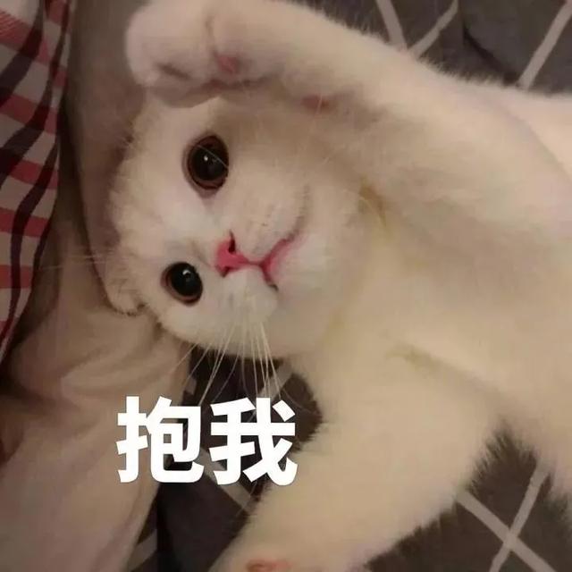 10公斤托运大概多少钱,飞机托运10公斤多少钱(过年多一手准备,多一分底气) 10公斤托运大概多少钱,飞机托运10公斤多少钱(过年多一手准备,多一分底气)