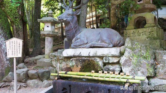 鹿血酒多少钱一瓶，鹿血酒一瓶500ml要多少钱（这是人们认为它是仙兽真正的原因）