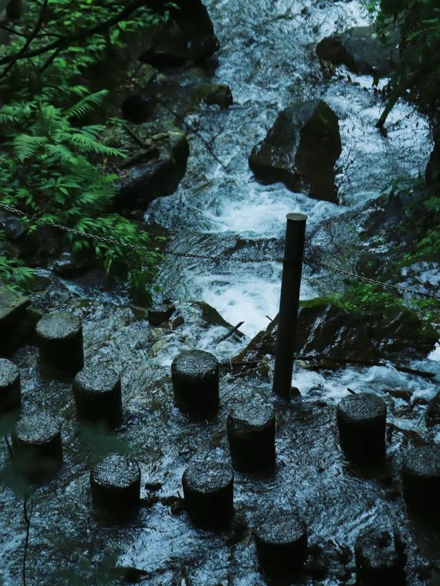 什邡市景点，什邡景点旅游景点（成都周边绝美“禁林”）