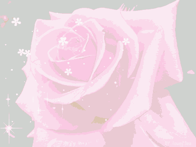 999朵玫瑰，送你999朵动态玫瑰花（999朵玫瑰邰正宵）