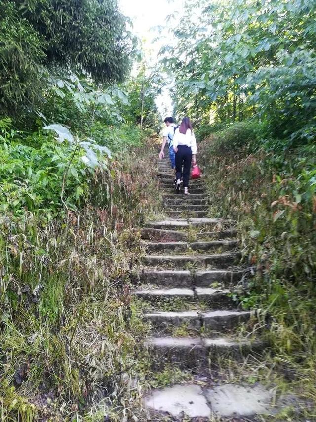 天台山旅游攻略，天台山旅游攻略大全（享受当下冬日的清闲与暖意）