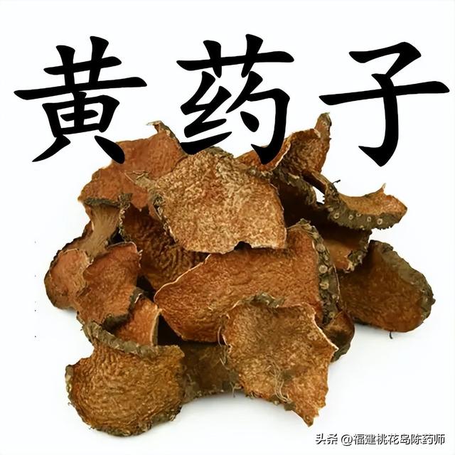 藤黄的功效与作用，藤黄果的功效与作用有哪些（植物类有毒中药<下>—②）