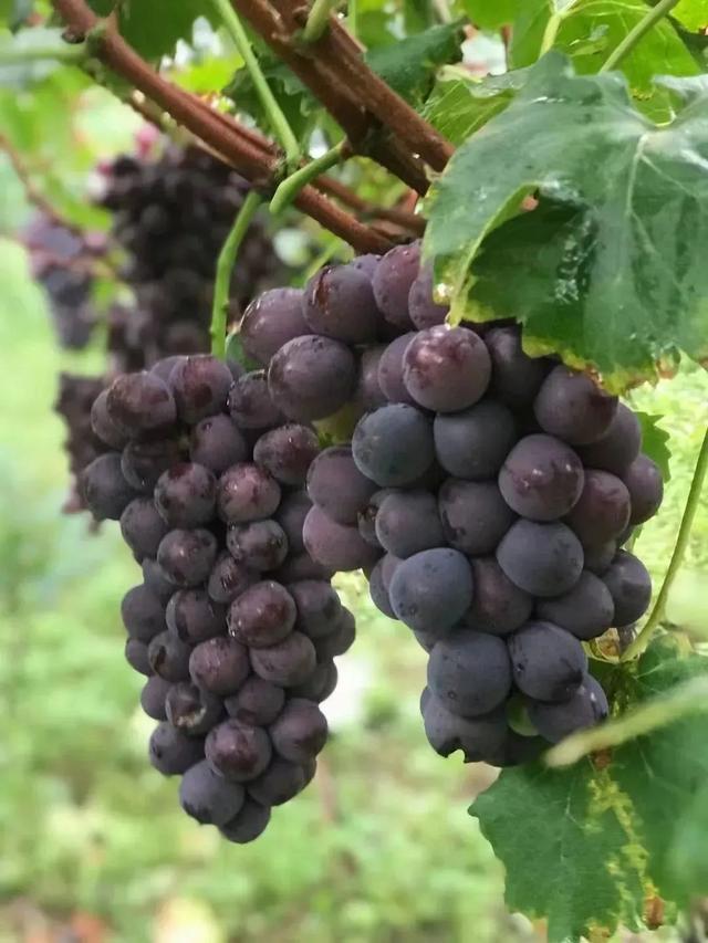 汉中旅游景点排名推荐，汉中旅游景点大全排名榜（在汉中一年四季可以这样玩 →）