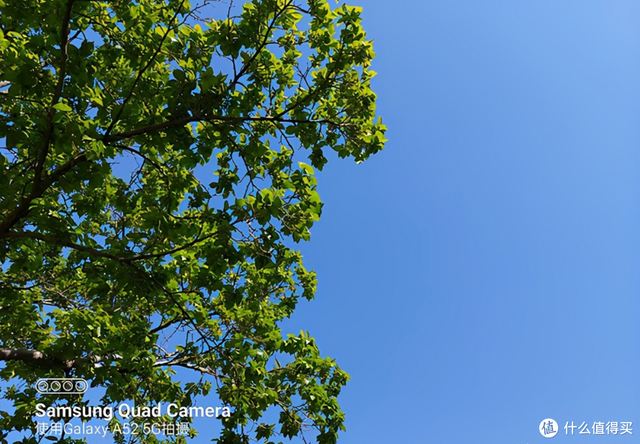 2022年最值得买的性价比手机，2022性价比最好的十款手机（2022年最具性价比的手机推荐）