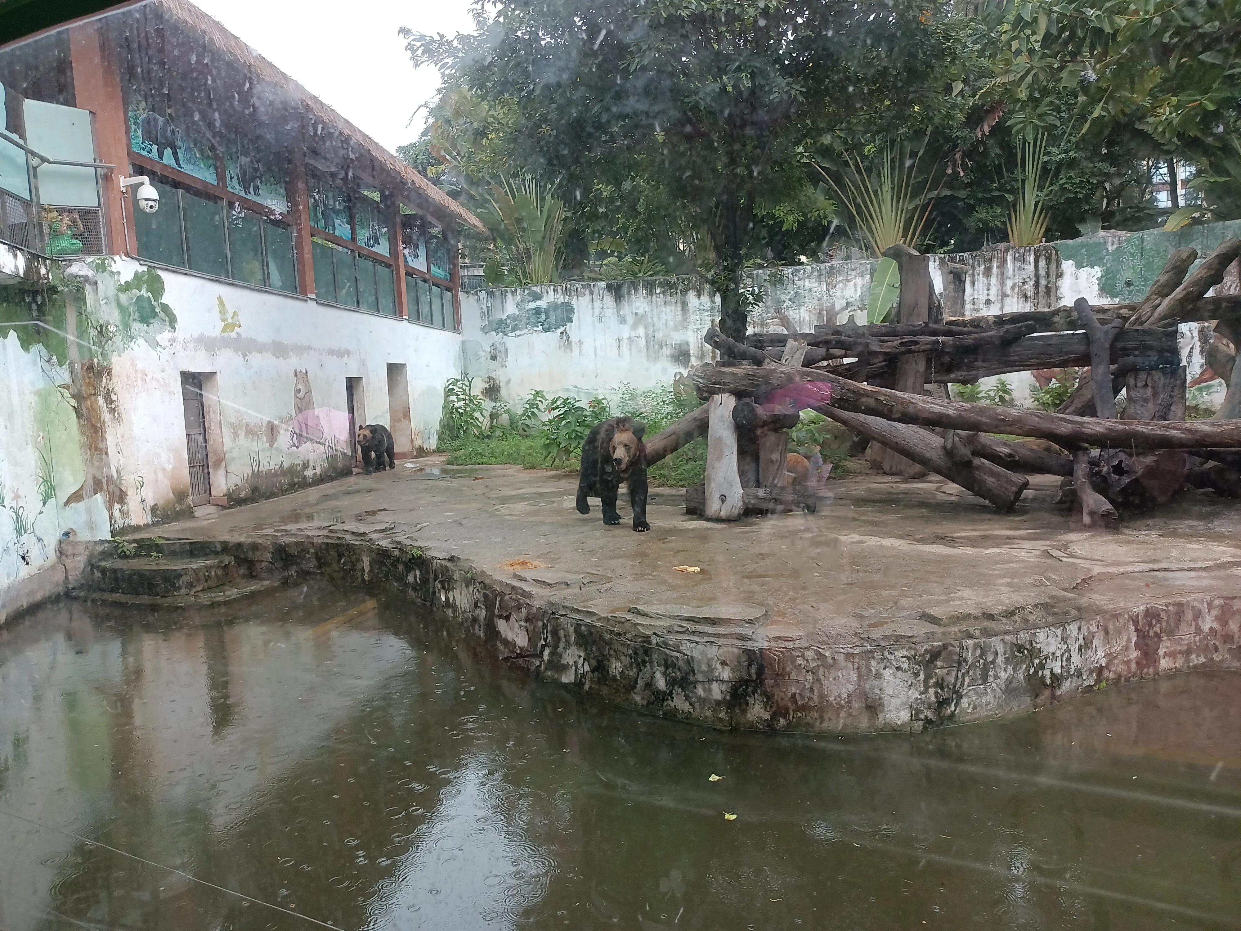 广州市动物园(广州宝墨园在哪里)