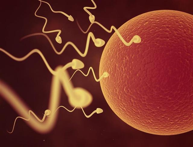 妊娠反应 生男生女，妊娠反应大易生女孩（“我老公根本不是男的）