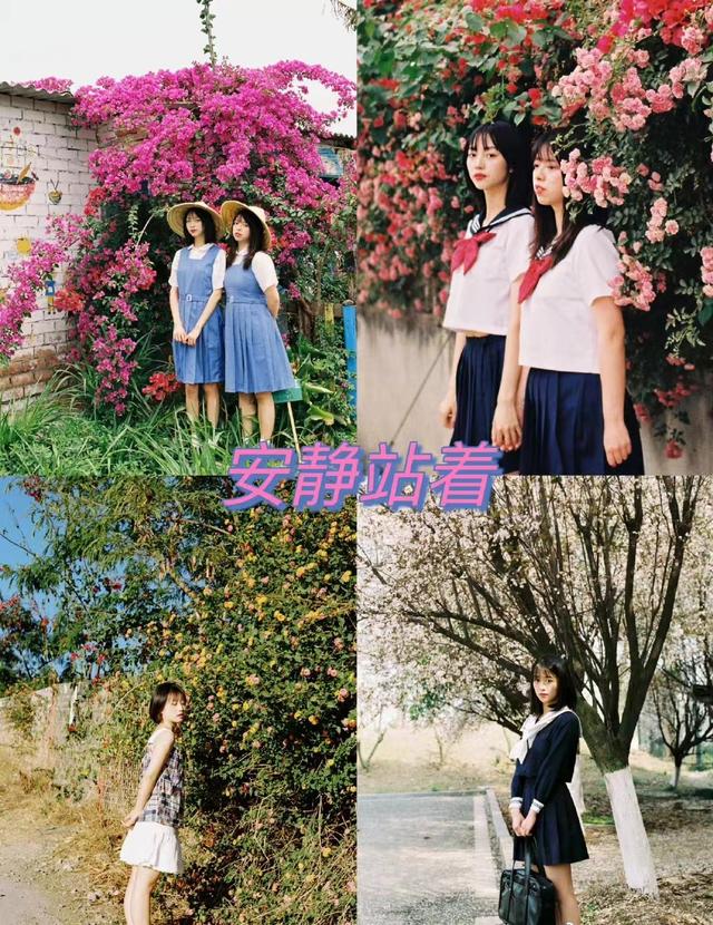 花海中如何拍出好看的照片，怎样在花海拍照好看（四季拍花海人像都能用）