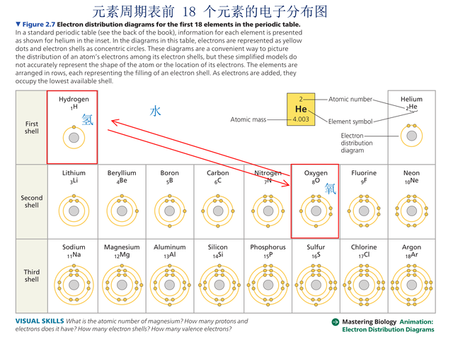 最好的英文名字，最好听的英文名字（学习数理化和生物医学都必须认识希腊字母）