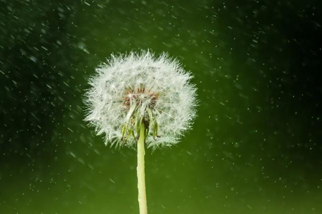 带雨的好名字，带雨的好名字两个字（每一场雨，都有一个好听的名字）