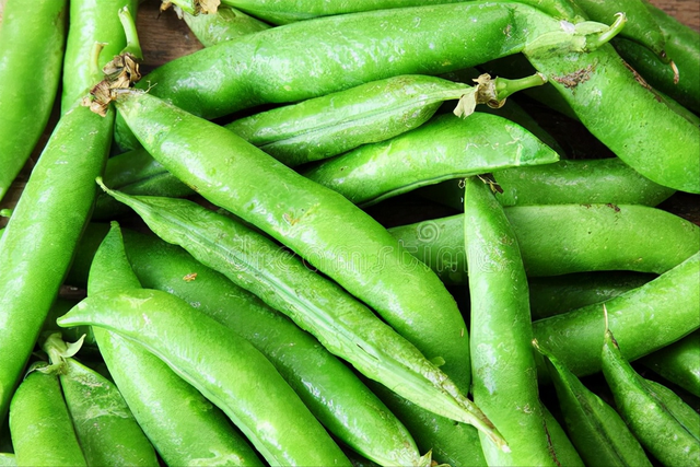 新鲜豌豆的做法，豌豆芽做法（鲜豌豆保存有诀窍）