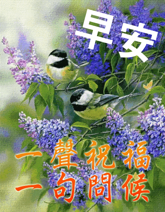 友情的句子唯美简短，友情的句子唯美简短发朋友圈（清晨唯美温馨的祝福问候语图片）