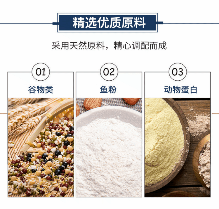 科学揭秘浮钓鲢鳙技巧：深入水下世界，掌握高效诱鱼与实战捕捞全攻略