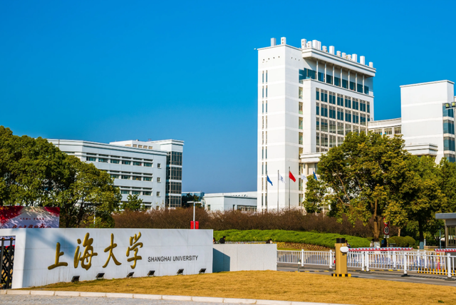 2015年上海市大学排行榜，上海市大学名单排名榜（上海市大学排名出炉了）