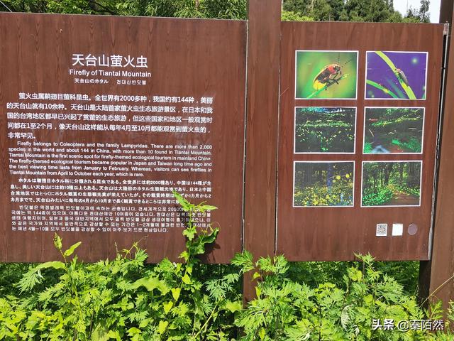 怎样游览邛崃天台山，去邛崃天台山（2022夏日自驾旅行体验）