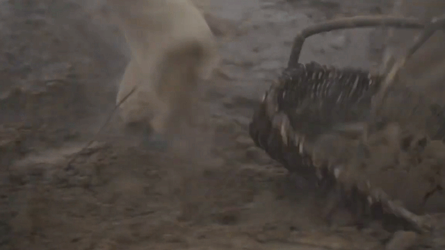 戍边是指哪些地方，戍边是什么地方（新疆生产建设兵团，有多强大）