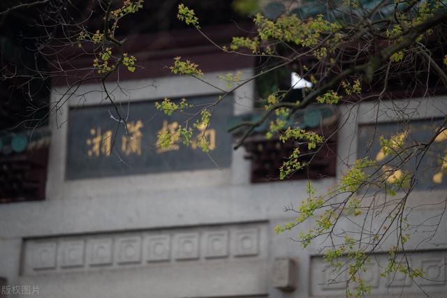 有良田美池桑竹之属的之什么意思，有良田美池桑竹之属的之是什么意思是什么（第十一课《岳阳楼记》知识梳理与专项训练）