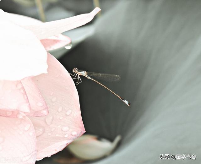 寓于是什么意思，哲学中的“寓于”是什么意思（无心于当下，即是人生之自然）