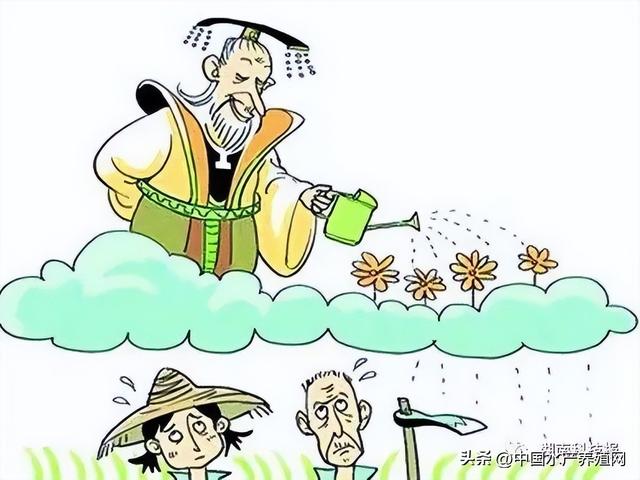 一朝回到解放前，一朝回到解放前的意思（部分虾农或将破产）