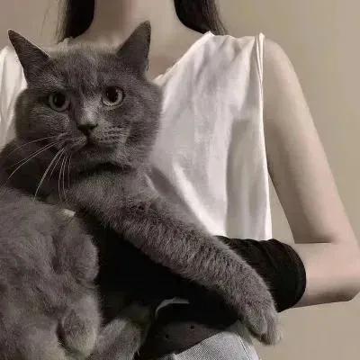 部位女头，微信头像，部位女头（40张微信头像精选）