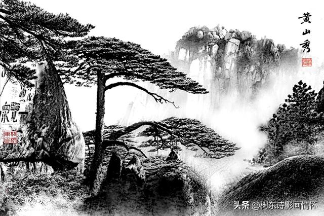 松树有什么象征与含义，松树象征的意义是什么（松在中华文化中象征着一种精神）