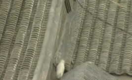 如此婚姻电视剧大结局，电视剧《如此婚姻》（近30年最好的10部家庭剧排次序）