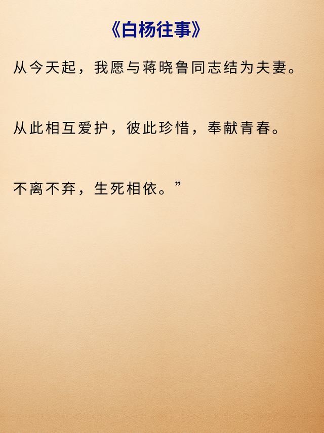 值得看三次的高干文，文笔超好的虐心高干小说推荐（《第二十八年春》《白杨往事》）